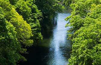 Photo:Hazu Group Resorts view