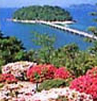 Photo:Takeshima Island