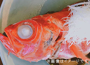 写真：お祝いのお造り