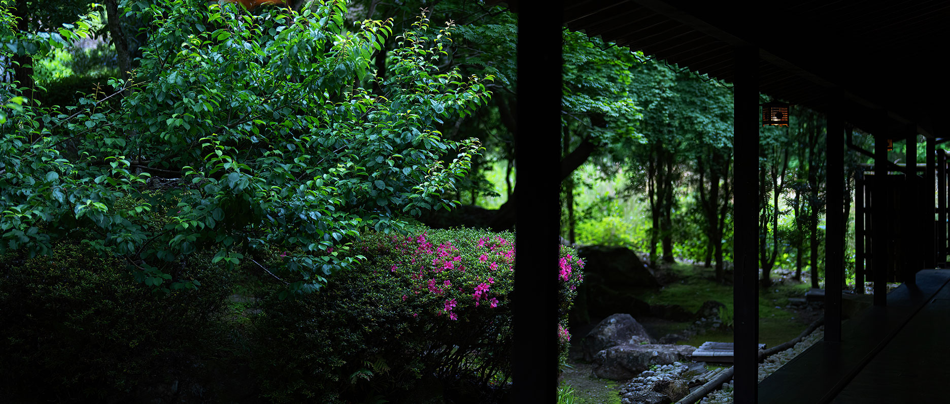 写真：景観