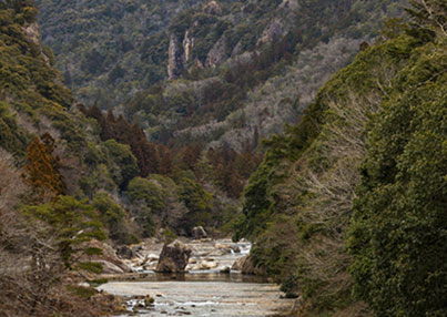 写真：冬の奥三河