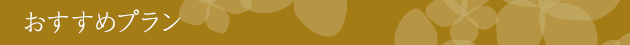 おすすめプラン
